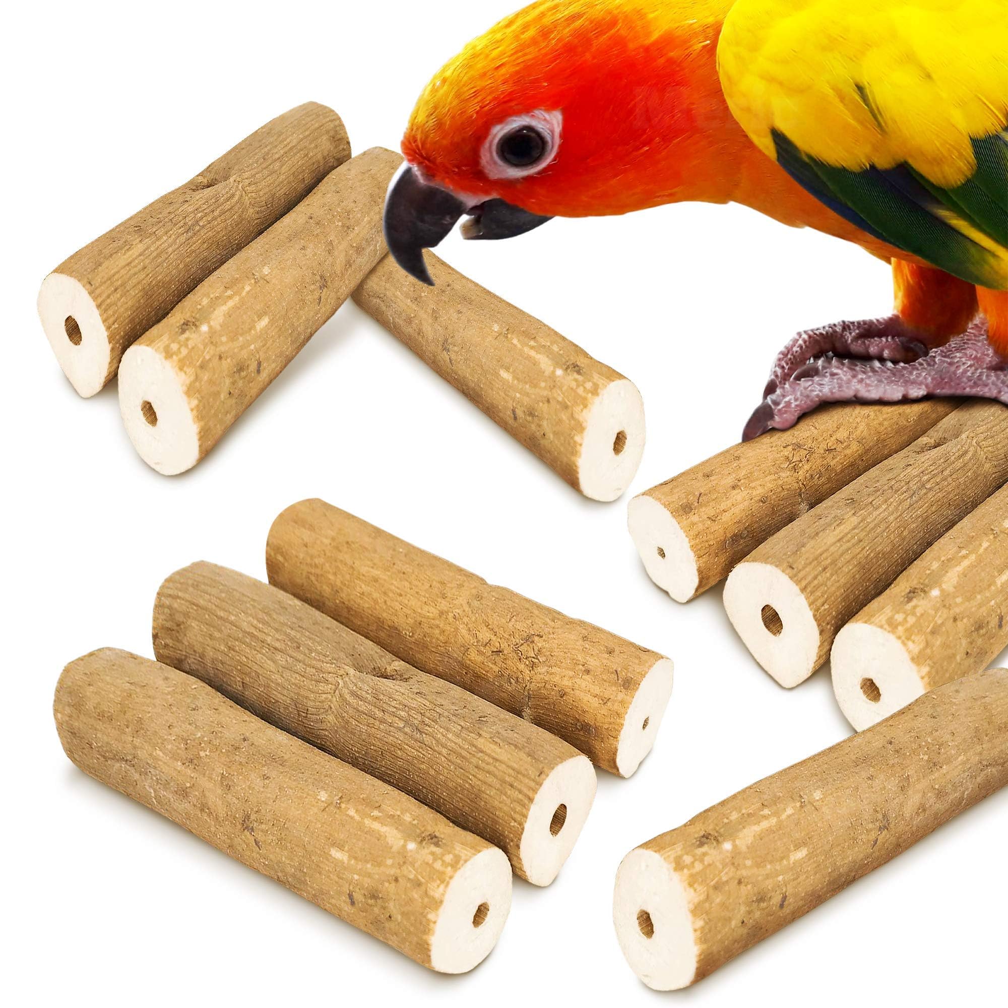 Meric CoCoo Bark Sola Stick with Skin parrot close-up highlighting texture for play.