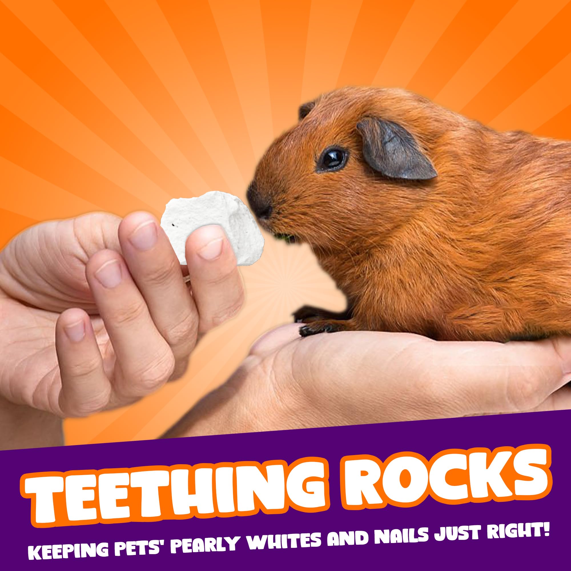 Meric CoCoo grinding stone claws-smoothing in play for small pets.