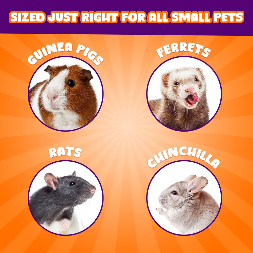 Meric CoCoo grinding stone rodent-teeth-trim in action during chewing.