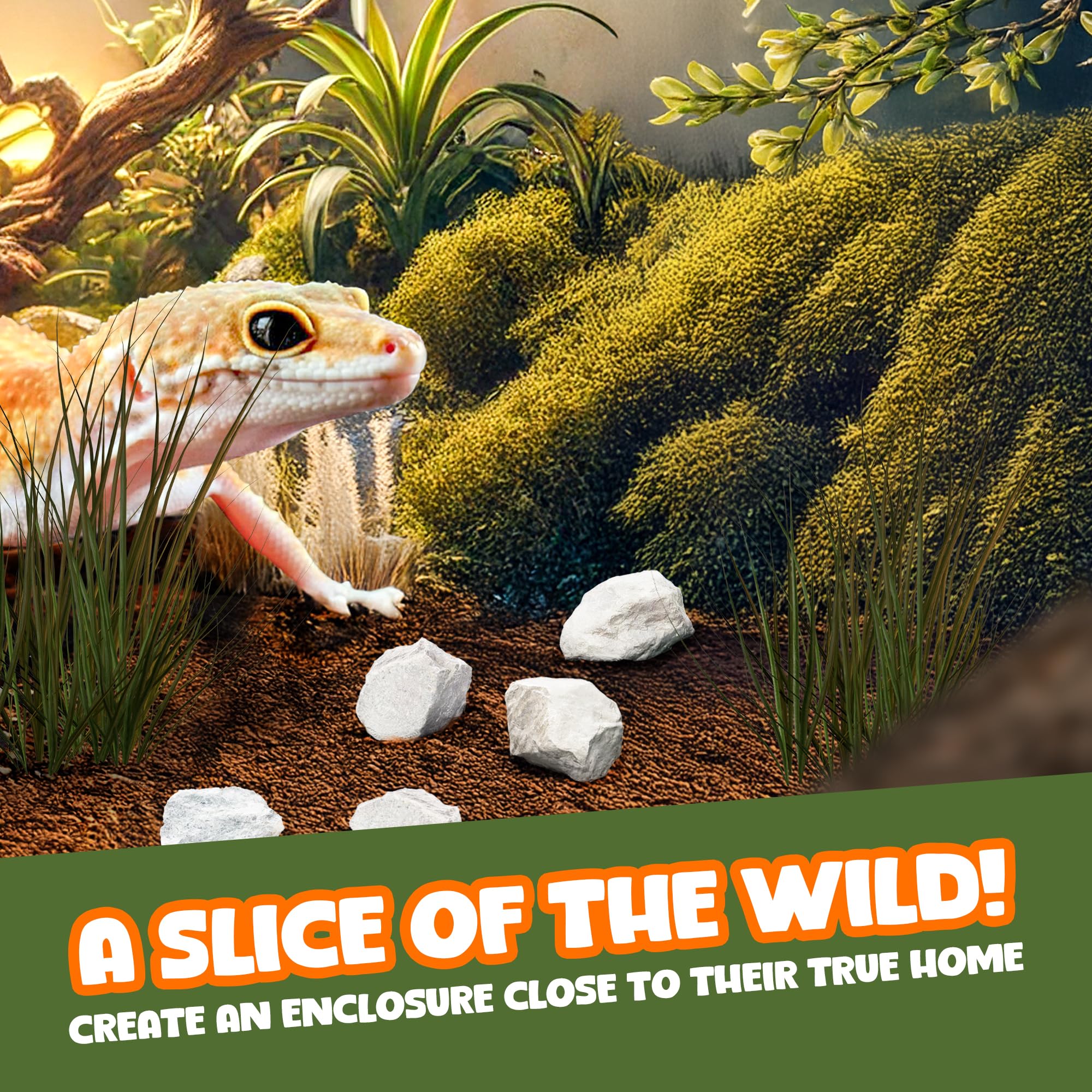 Meric CoCoo Mineral Rocks form a climbing wall and scratching surface for geckos.