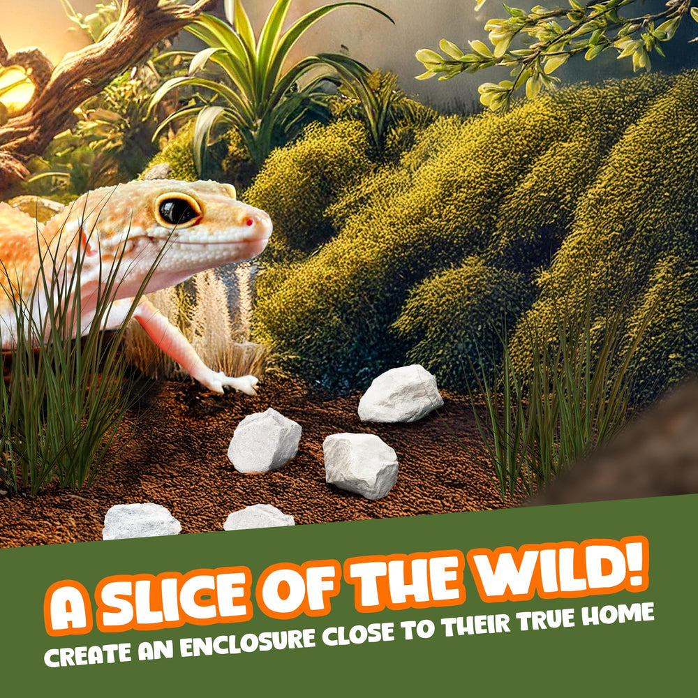 Meric CoCoo Mineral Rocks form a climbing wall and scratching surface for geckos.