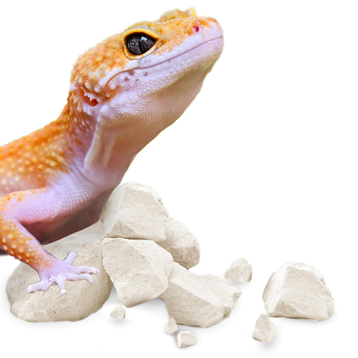 Meric CoCoo Mineral Rocks enrich gecko habitat with natural texture and hiding spaces.