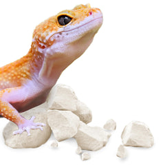 Meric CoCoo Mineral Rocks enrich gecko habitat with natural texture and hiding spaces.