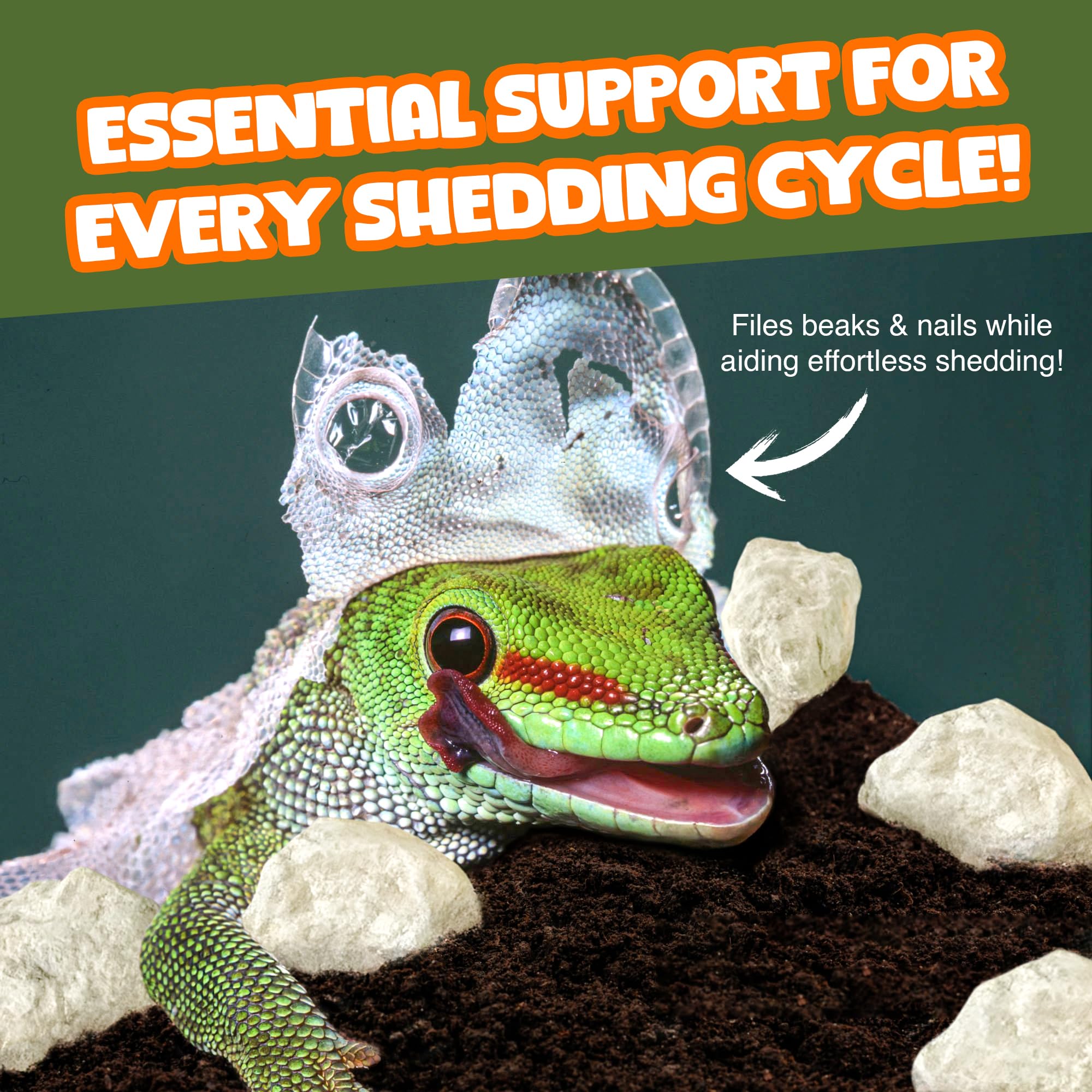 Meric CoCoo Mineral Rocks release minerals into the terrarium environment.