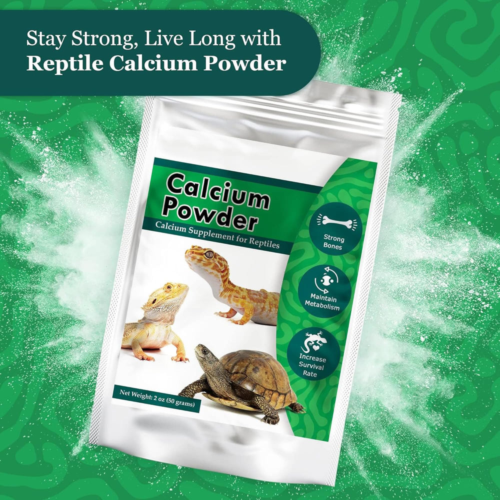 Meric CoCoo chameleon-calcium-dusting demonstrates safe, simple supplementation.