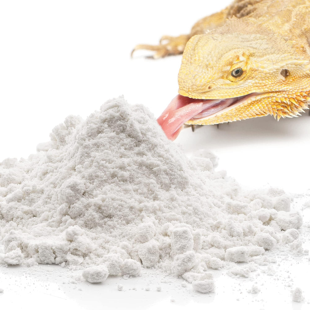 Meric CoCoo reptile calcium powder self-feed dish promotes easy calcium intake.