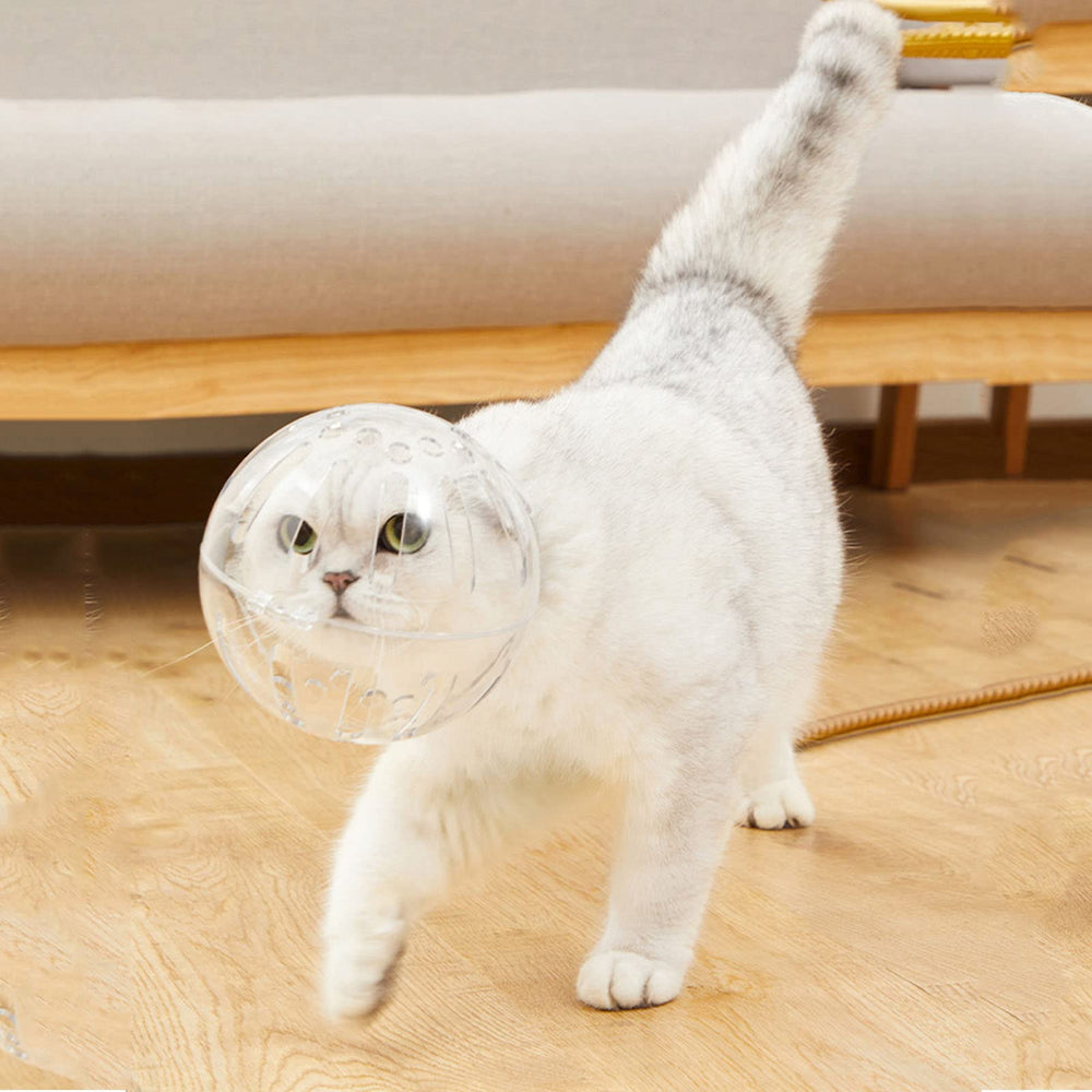 Merkaunis cat muzzle wide-application aids baths, injections, and hair trimming.