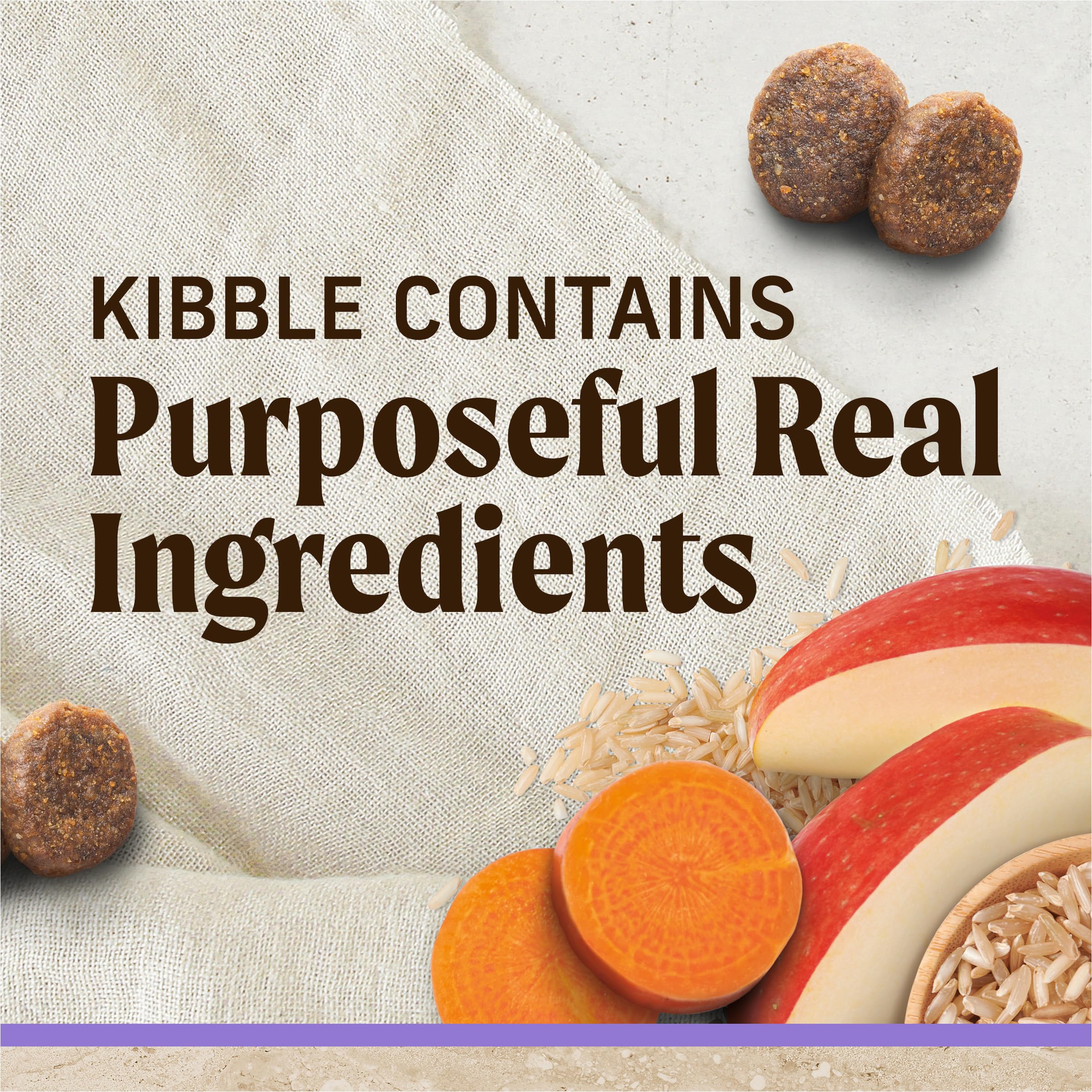 Merrick Healthy Grains Puppy kibble closeup reveals texture ideal for easy chewing.
