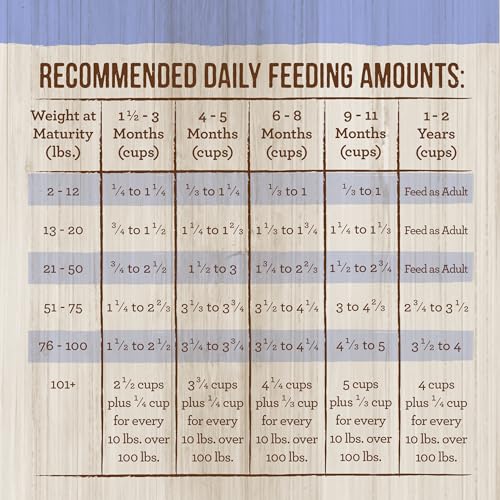 Merrick Puppy Mealtime serving image shows wholesome kibble ready to nourish adventures.