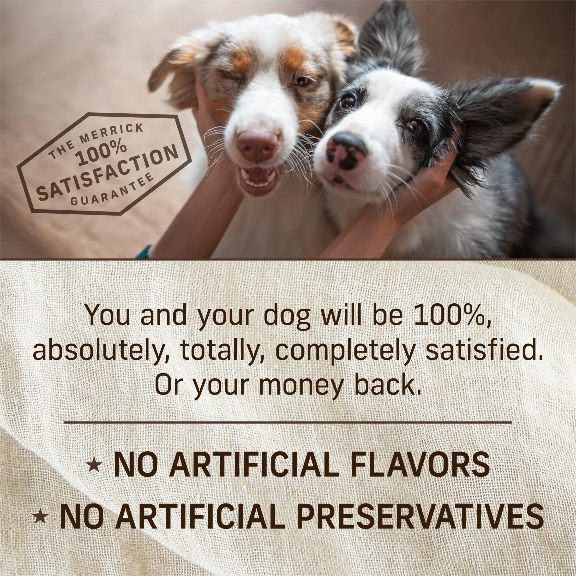 Merrick Puppy Plate artificial-free label highlights absence of artificial flavors.