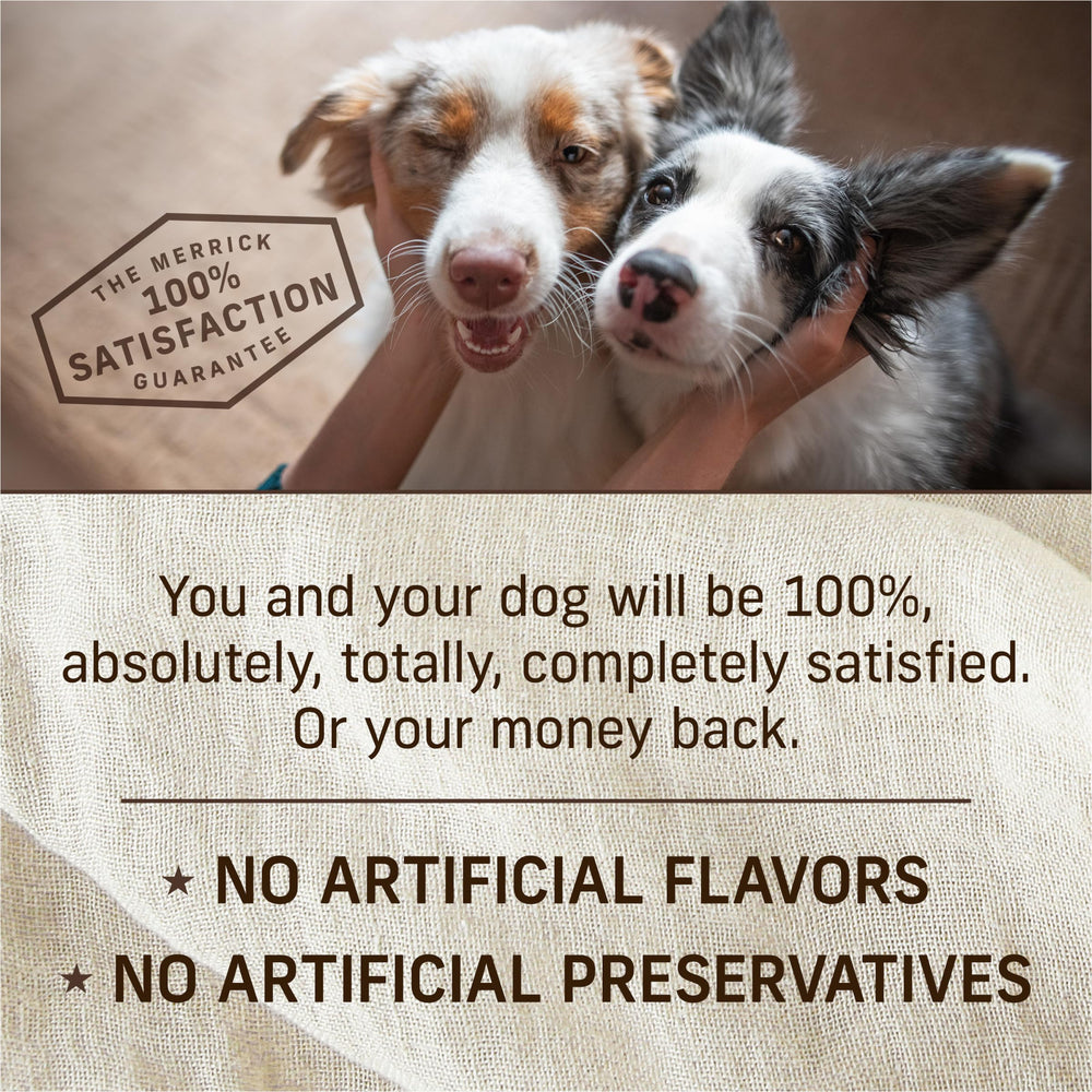 Merrick Puppy Plate artificial-free label highlights absence of artificial flavors.