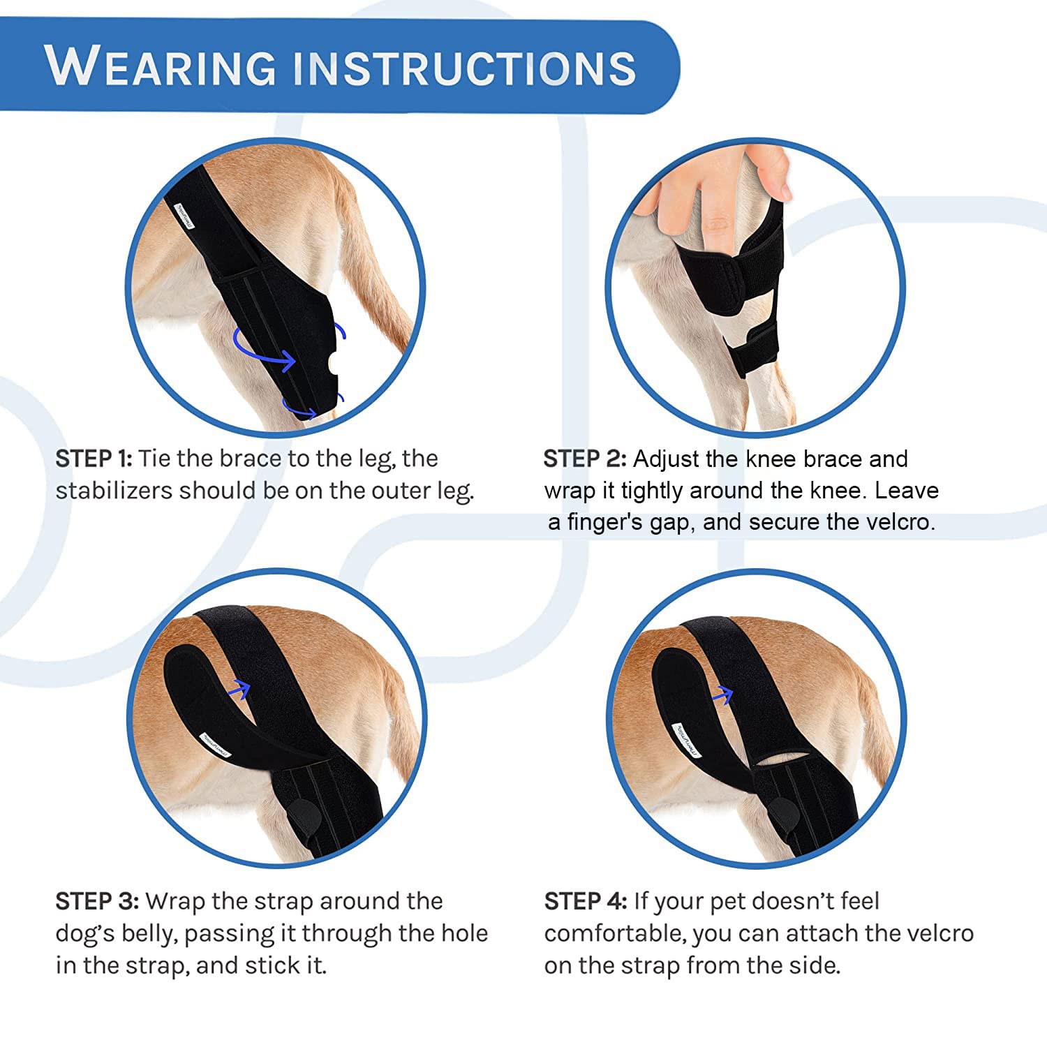 MerryMilo dog knee brace during daily walk demonstrates stabilized joint support