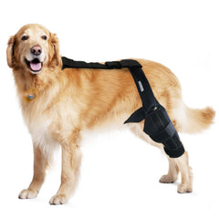 MerryMilo dog knee brace front view showing targeted knee support for stability during walks