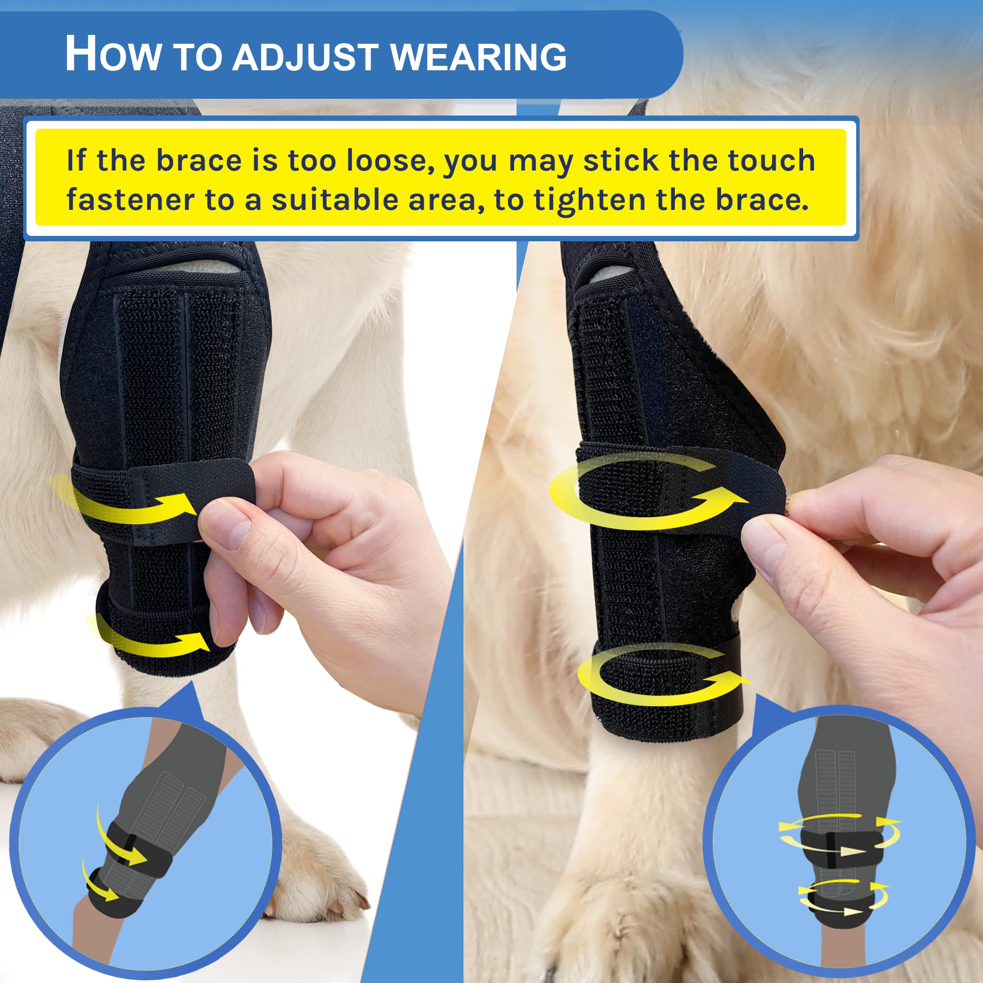 MerryMilo dog knee brace on resting dog conveys comfort and relaxed posture