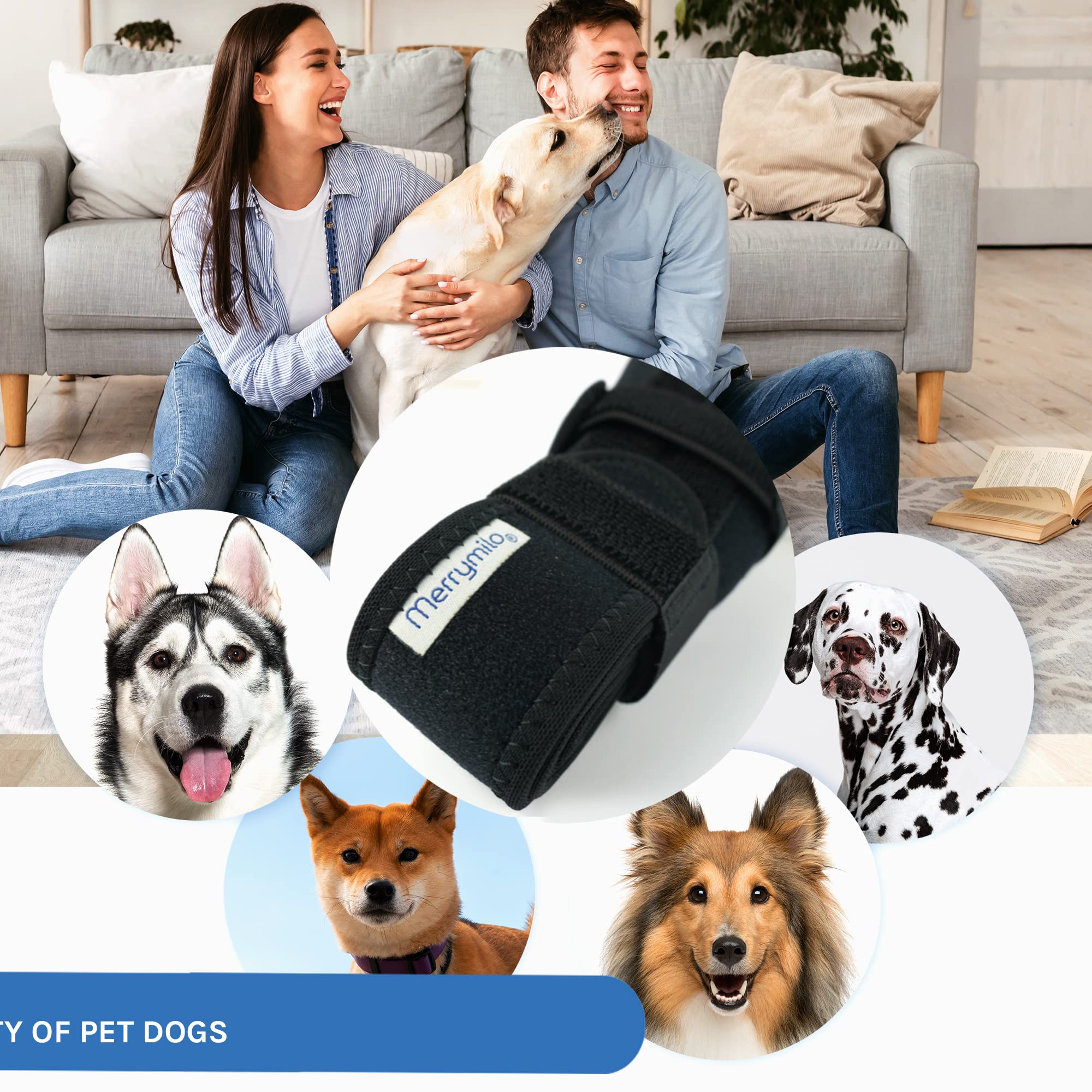 MerryMilo dog knee brace near travel scenario highlights versatility