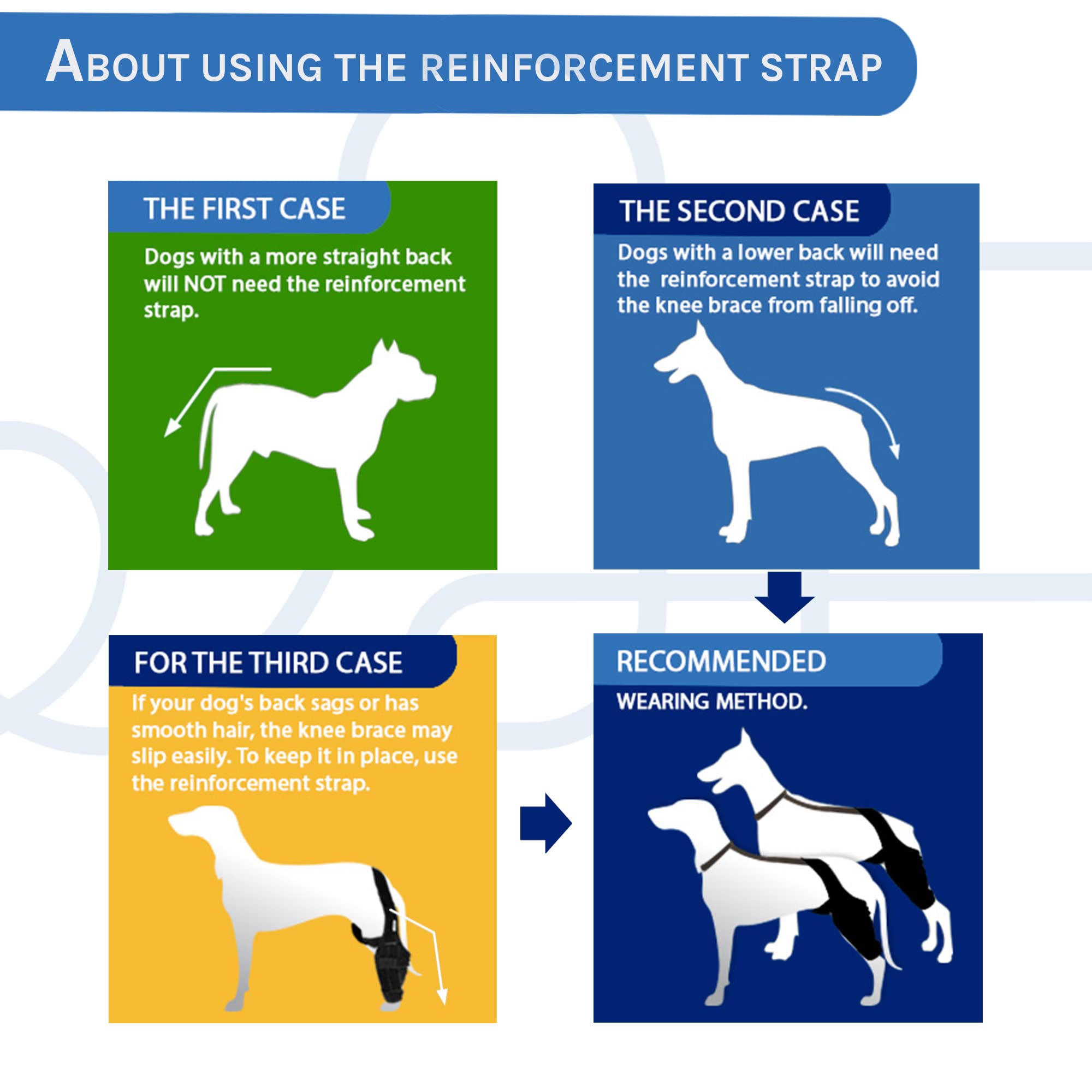 MerryMilo dog knee brace worn on rear leg during motion supports mobility