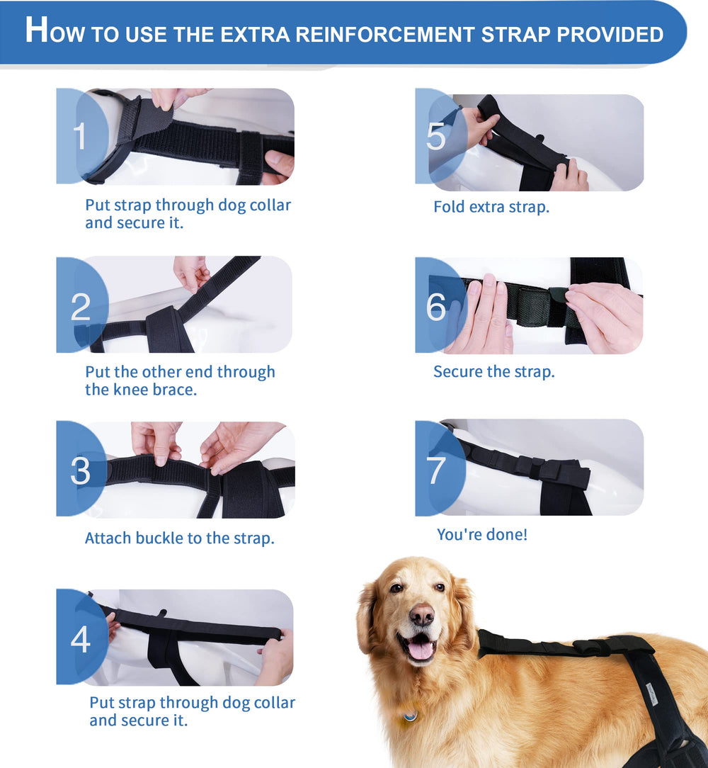 MerryMilo hind-leg brace stability support for hind joints during activity.