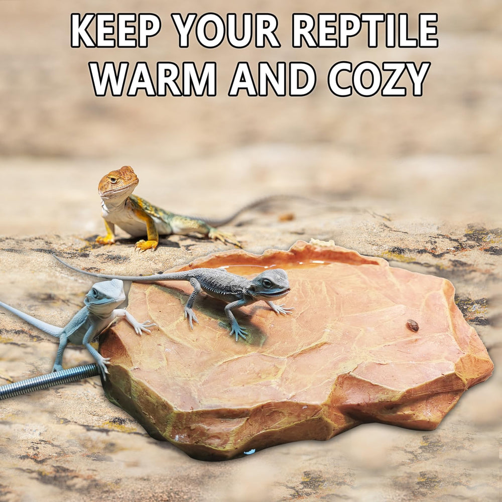 MECESOR heated rock feeding trough design simplifies habitat setup.