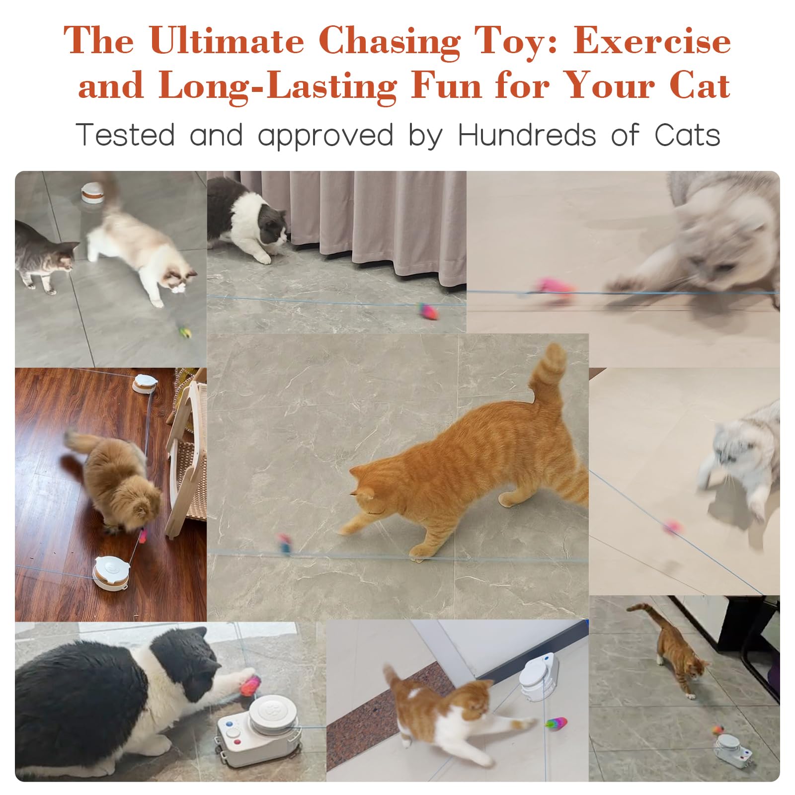 Metiya interactive cat toy diy-play-paths enables customizable routes for different rooms.