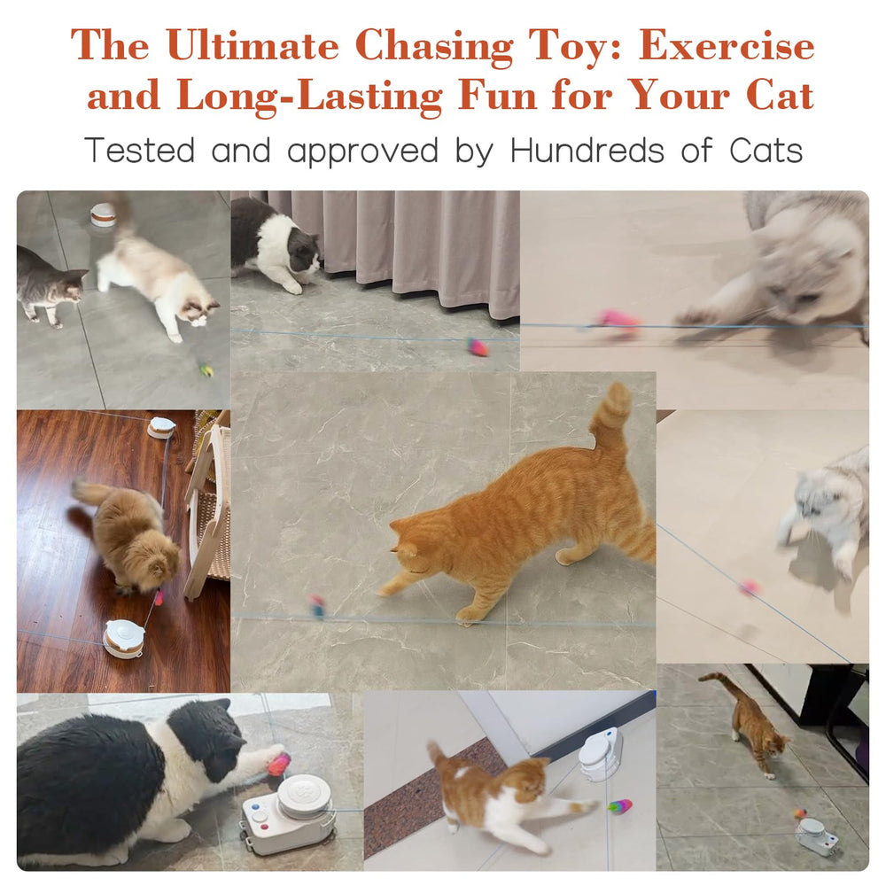 Metiya interactive cat toy diy-play-paths enables customizable routes for different rooms.