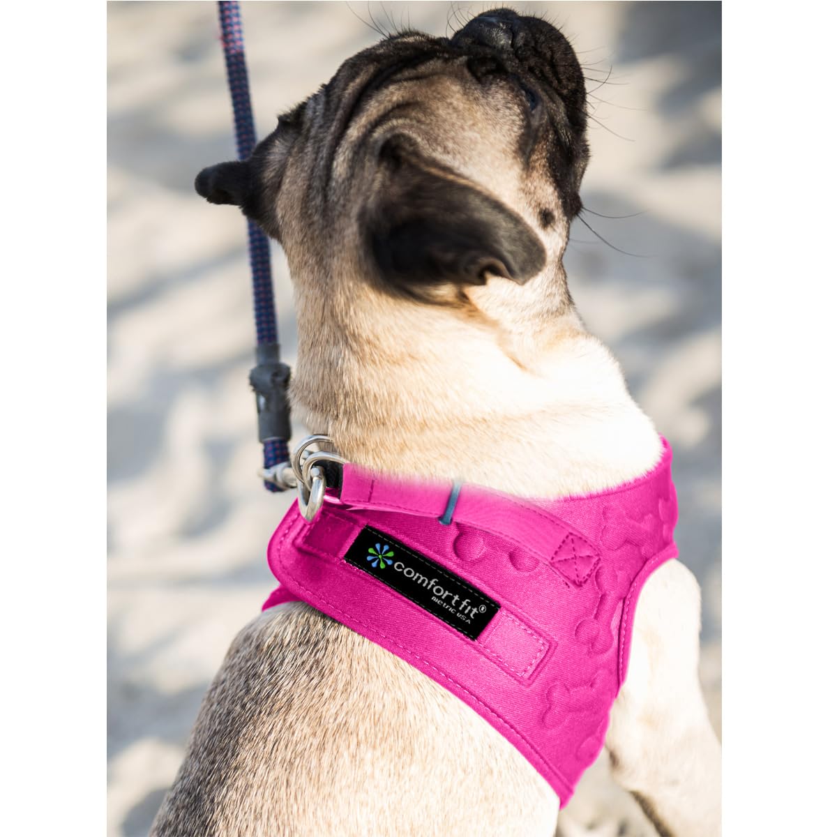 Metric USA Comfort Fit harness featuring an easy-control handle for added supervision during walks.