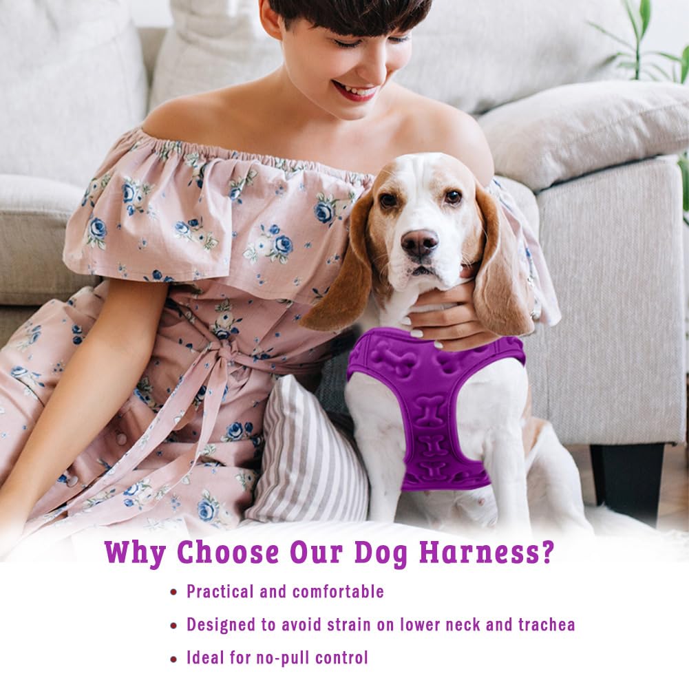 Metric USA Comfort Fit dog harness lightweight fabric keeps pets cool on long walks.
