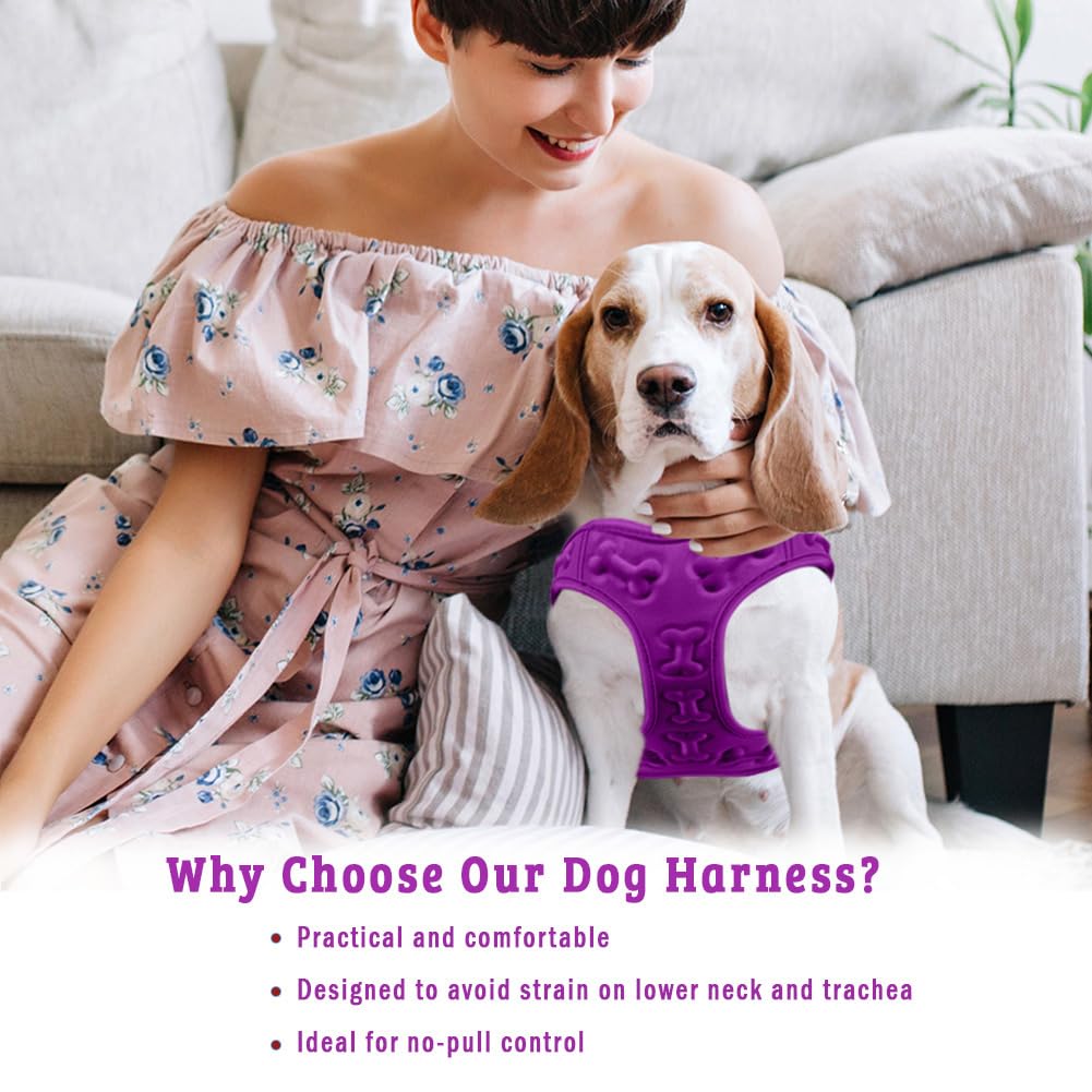 Metric USA lightweight fabric keeps dogs cool and comfortable.