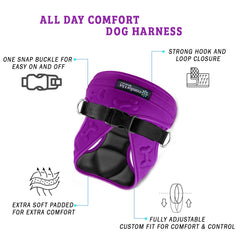 Metric USA Comfort Fit dog harness reflective strip improves nighttime visibility during walks.