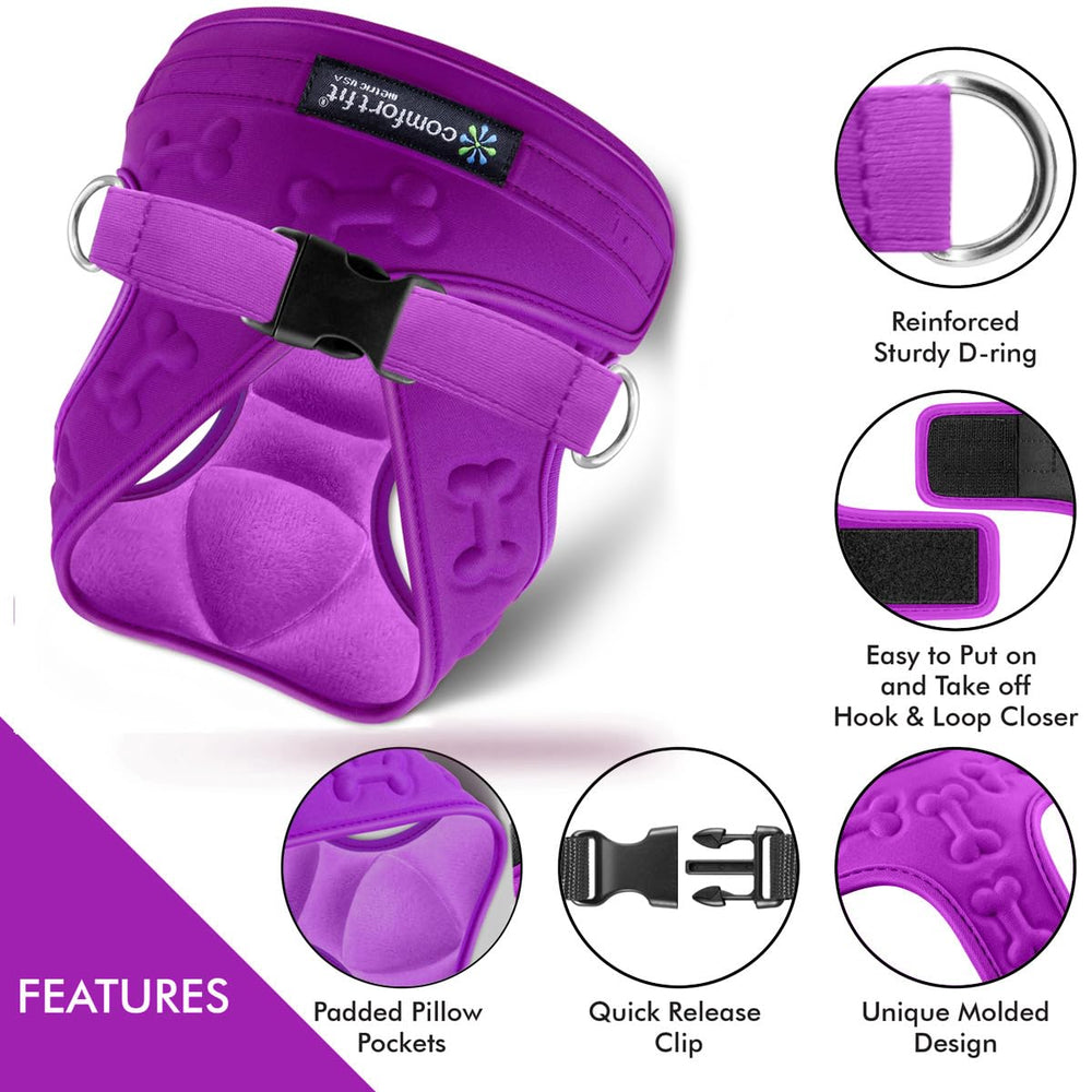 Metric USA adjustable fit for small and medium dogs during daily walks.