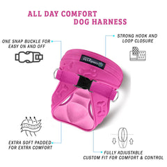 Metric USA Comfort Fit harness with Velcro adjustable straps for a secure, customized fit.