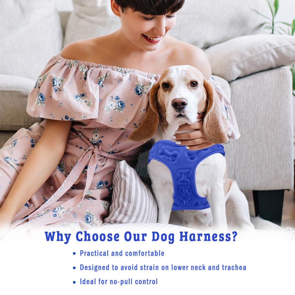 Metric USA lightweight material helps keep dogs cool on walks.