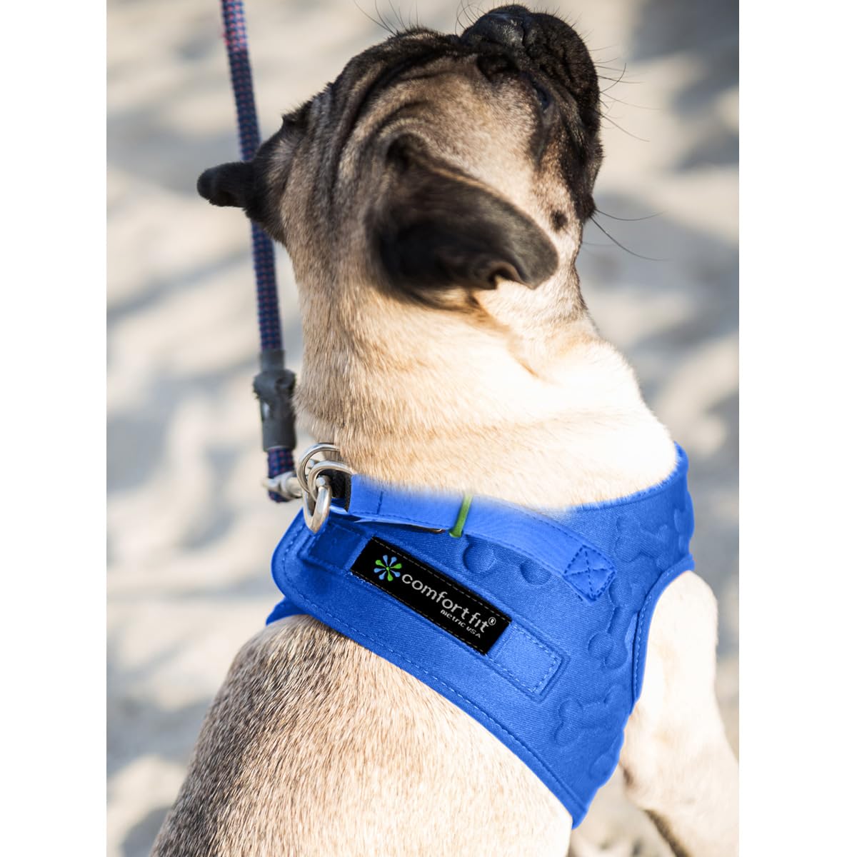 Metric USA harness secure buckle keeps the harness in place during activities.