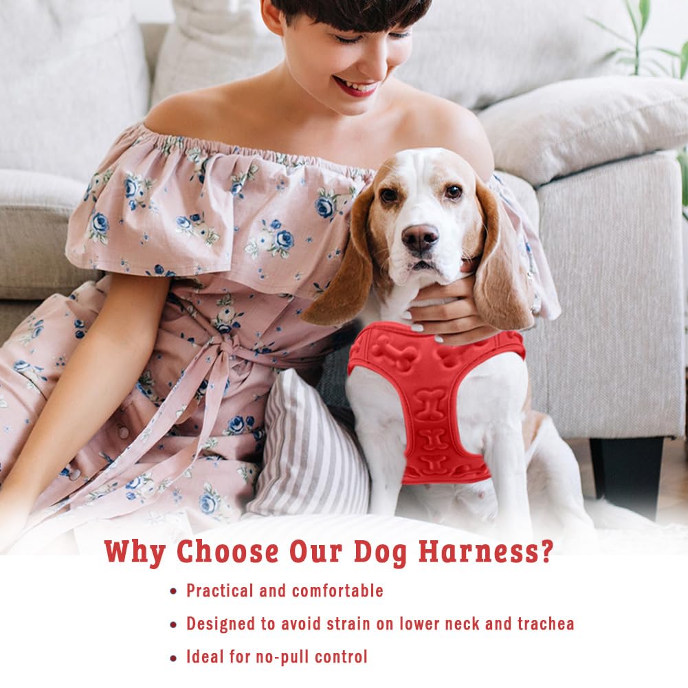 Metric USA lightweight dog harness helps your dog stay cool on longer outings.