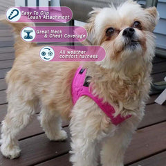 Metric USA No-Pull Dog Harness with adjustable buckles for secure control on walks.