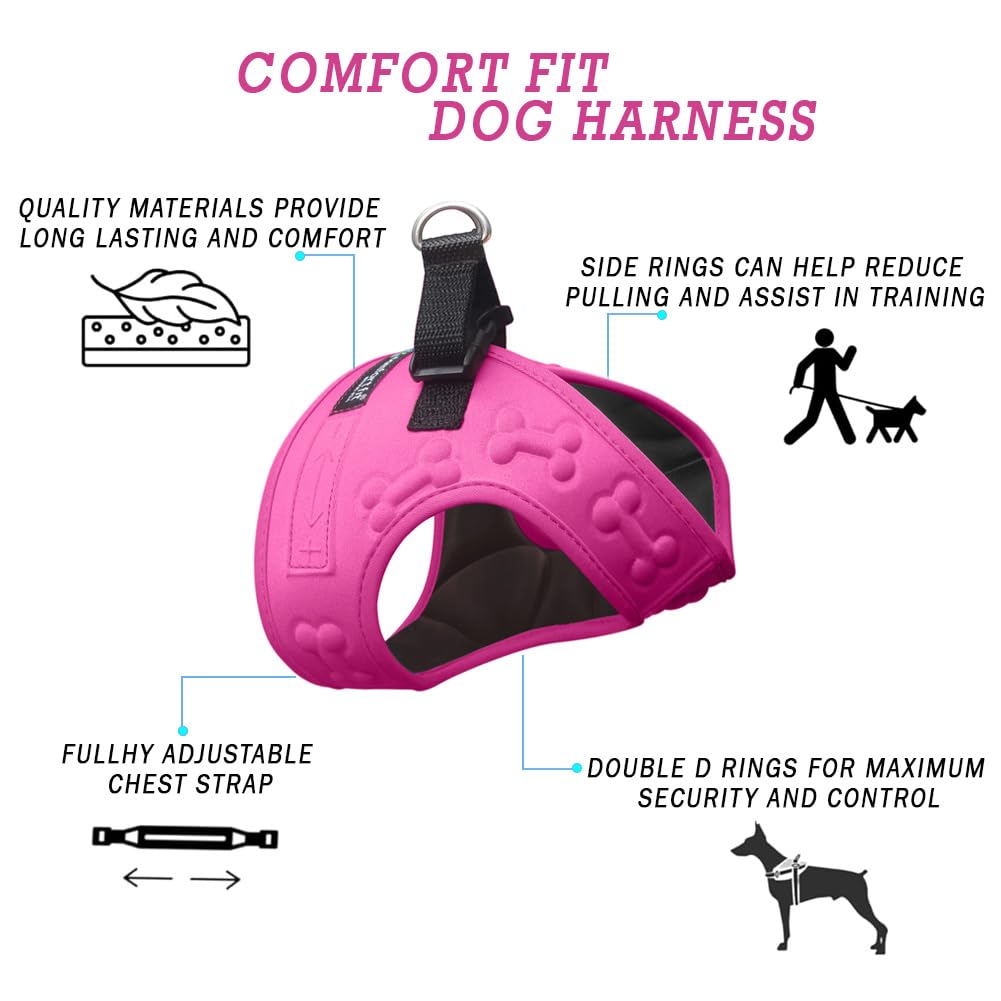 Metric USA Reflective dog harness enhances visibility during evening strolls.