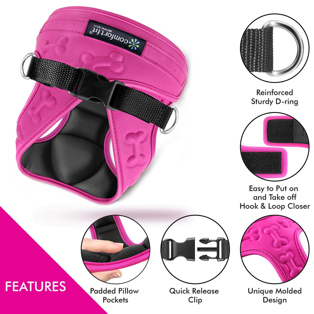 Metric USA Secure buckle dog harness stays in place during active play.