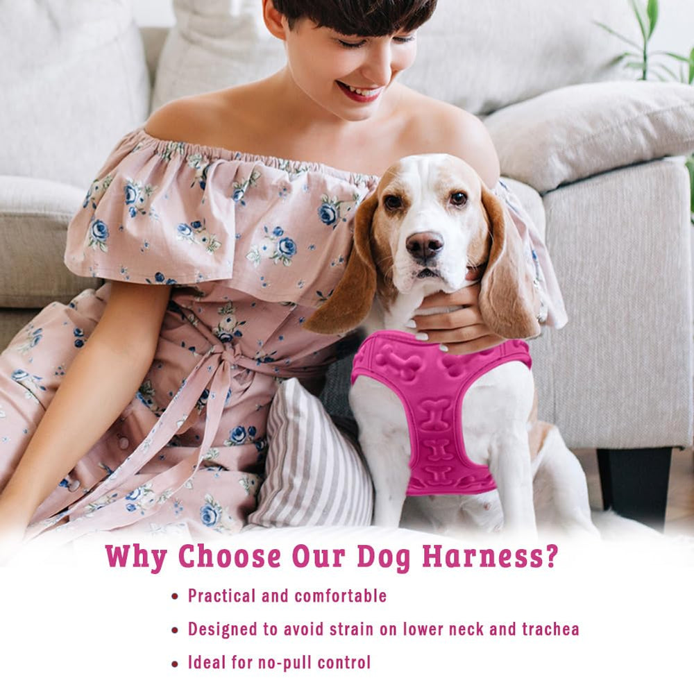 Metric USA Small-Medium dog harness fit ensures secure sizing.