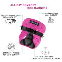 Metric USA Soft padded dog harness keeps your pet comfortable on outings.