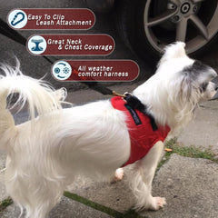 Metric USA step-in harness design aids easy on-boarding during daily walks.