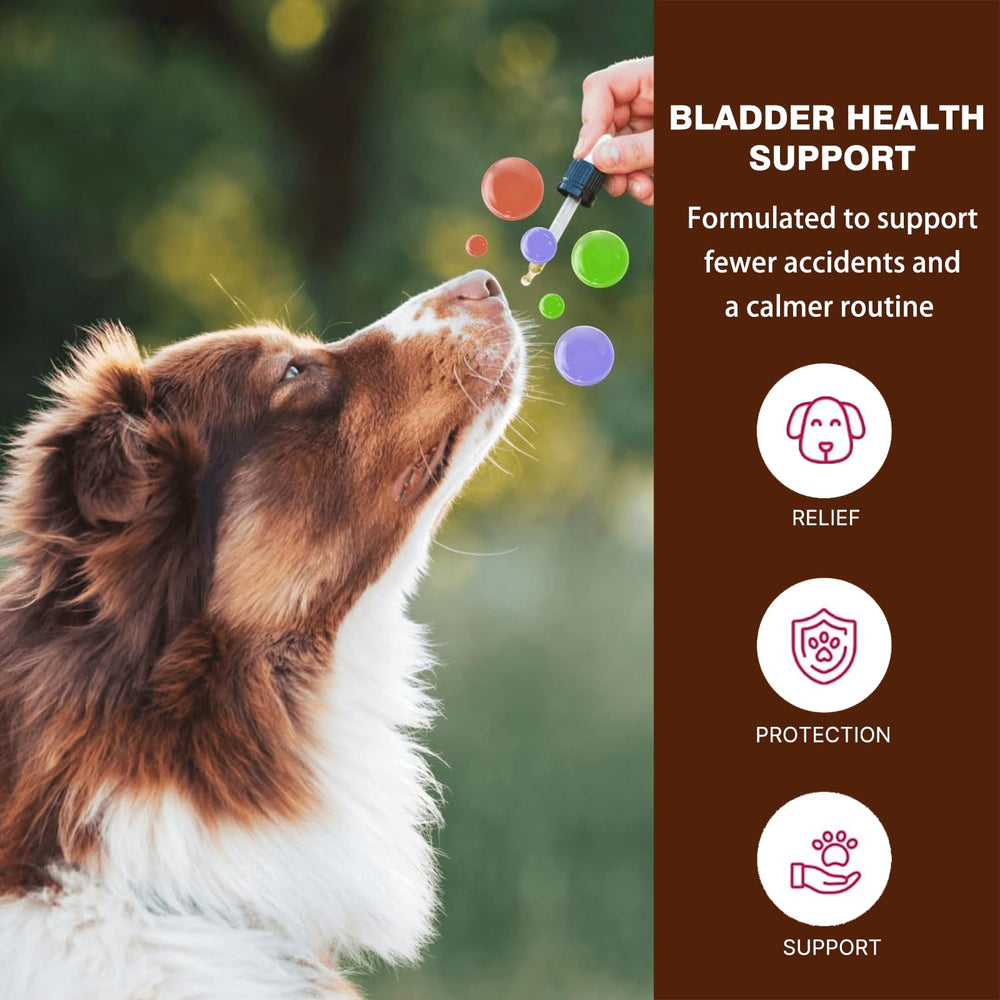 Meukgag botanicals-cranberry-blend facilitating daily wellness for dogs.