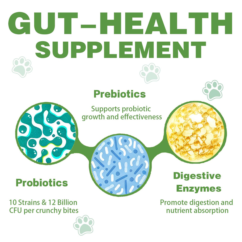 Meukgag probiotics for dogs emphasizing skin and coat benefits from gut balance.