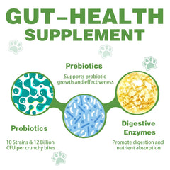 Meukgag probiotics for dogs emphasizing skin and coat benefits from gut balance.