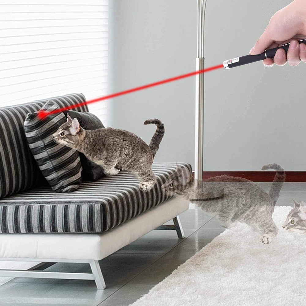 MEUSNO geese deterrent use outdoors with safe laser play