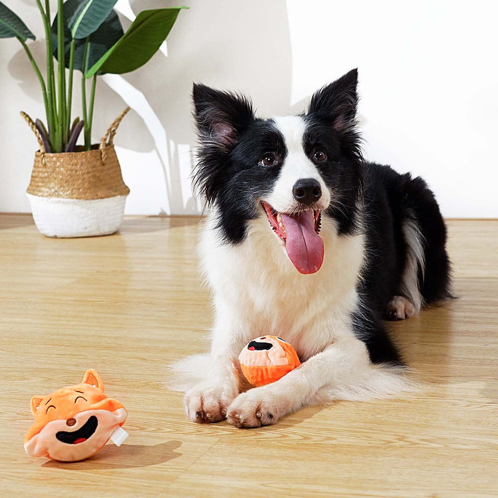 MewaJump-anxiety-relief-dog-toy helps ease transitions and travel stress.