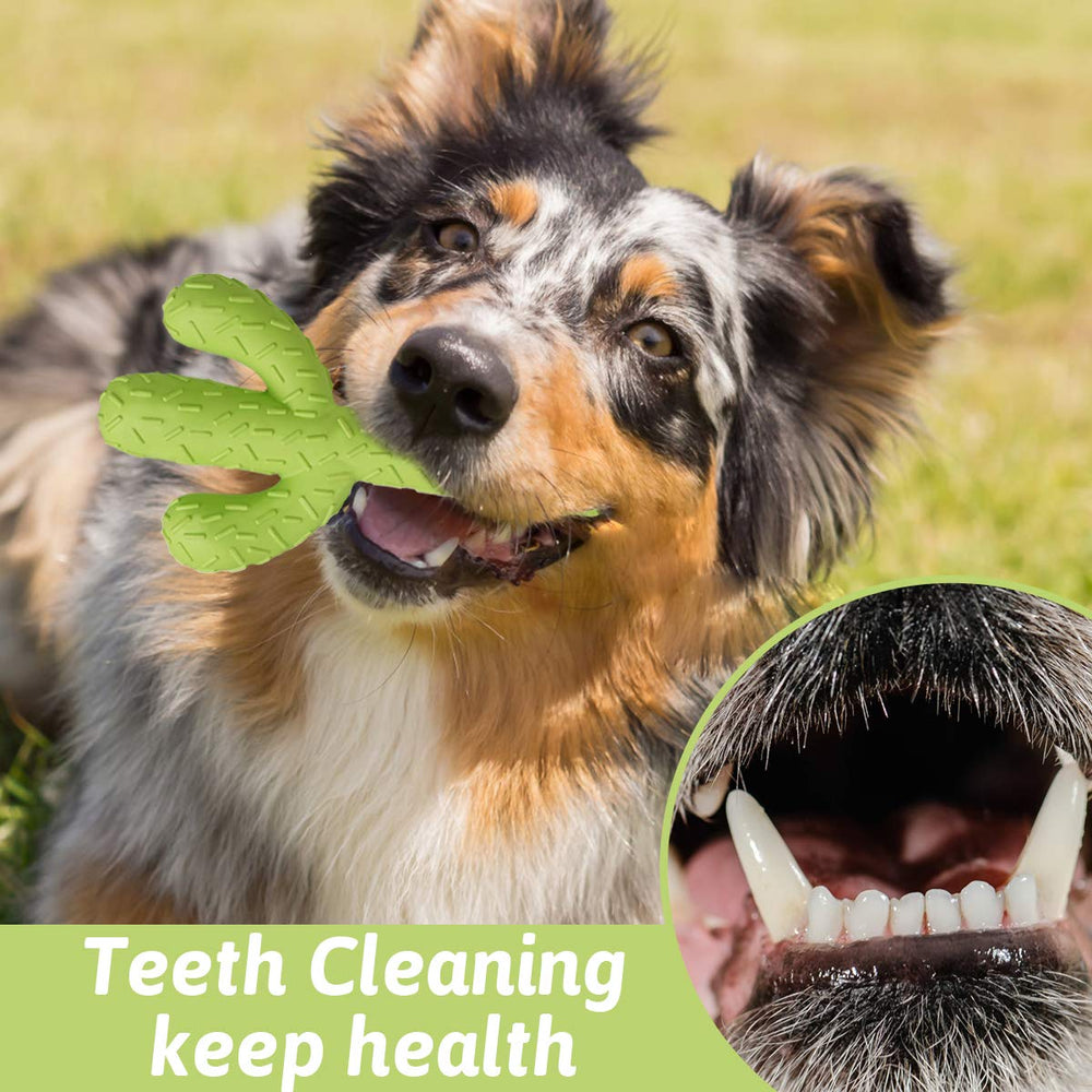 MewaJump toy suitable for indoor and outdoor use across growth stages.