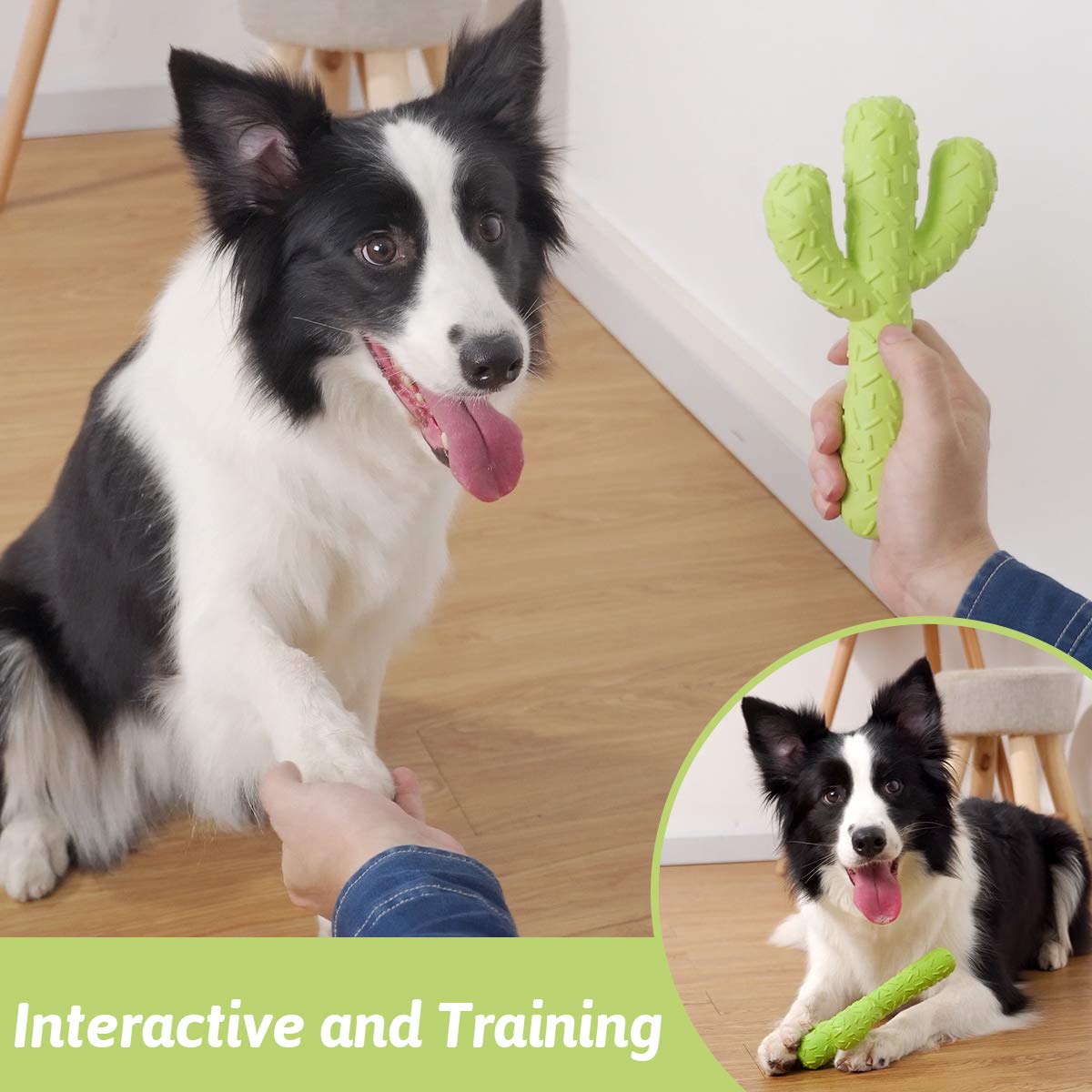 MewaJump dog chew toy emphasizes teeth protection during playtime.