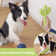 MewaJump dog chew toy emphasizes teeth protection during playtime.