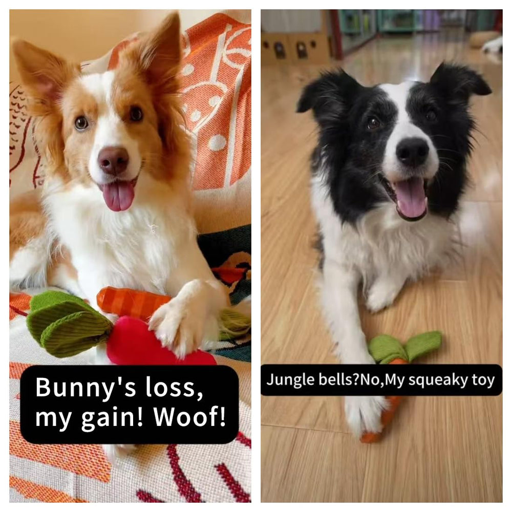 MewaJump Orange Carrot toy in natural rubber endures tough chews and supports teething.