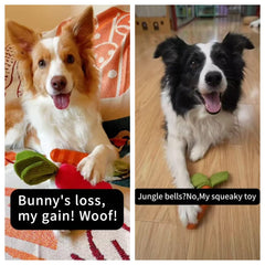 MewaJump Orange Carrot toy in natural rubber endures tough chews and supports teething.