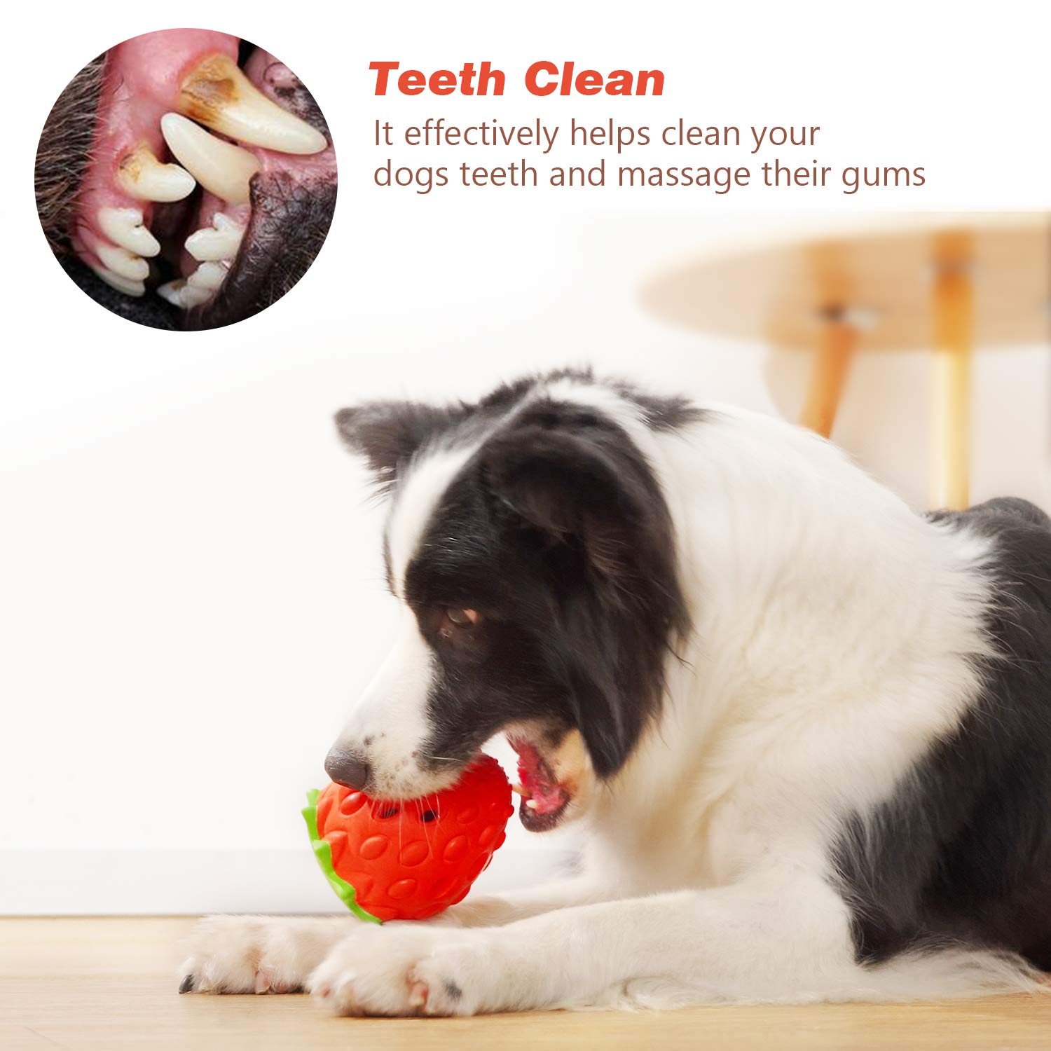 MewaJump dog toy with air outlets guiding scent and encouraging chews.